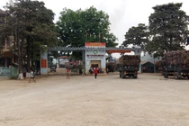 Điểm mặt những sai phạm của Công ty mía đường Sơn La