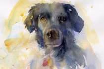 Tuần mới (5/6 - 11/6/2023): 3 con giáp phúc khí tràn về, giàu sang phú quý 