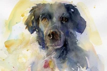 Tuần mới (5/6 - 11/6/2023): 3 con giáp phúc khí tràn về, giàu sang phú quý 