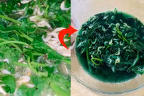 Rau khoai lang chuyển màu, bà nội trợ không biết ăn hay bỏ