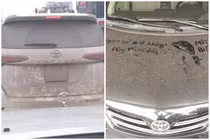 Những chiếc ô tô phủ bụi được đính thông điệp cực hài hước