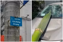 Mặc biển cảnh báo, chủ xe đỗ dưới cây dừa và cái kết