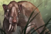 Phát hiện loài động vật ăn thịt có túi, mắt ngựa, răng kiếm 