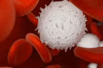 Người có máu sạch nói chung có 3 đặc điểm này