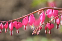 Người sinh vào ngày Âm lịch này tự tay lập nghiệp, tiền bạc dư dả