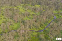 Chiêm ngưỡng vẻ đẹp của rừng tràm Trà Sư mùa nước nổi ở An Giang