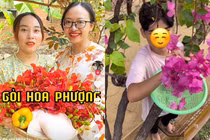 Hết gỏi gà măng cụt, loài hoa quen thuộc lại bị netizen réo tên