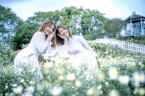 Cúc hoạ mi nở sớm, giới trẻ Hà thành kéo nhau “check-in” cực đỉnh