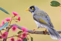 Quý cô sinh ngày Âm lịch này như rước Thần Tài về nhà