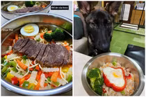 Khi có "sen" làm master chef, các "boss" được ăn uống sao?