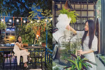 Chìm đắm trong không gian cafe đẹp nhất nhì Hà Nội dịp cuối tuần