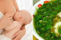 3 món rau lợi sữa và 5 món rau gây hại cho mẹ bỉm 