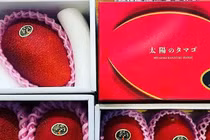 Hơn 2 triệu đồng/quả xoài màu đỏ, nhà giàu Việt chi tiền ăn sang