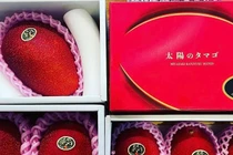 Hơn 2 triệu đồng/quả xoài màu đỏ, nhà giàu Việt chi tiền ăn sang