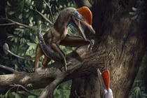 “Quái thú bay” kỷ Jura mang trên cơ thể thứ giống con người 