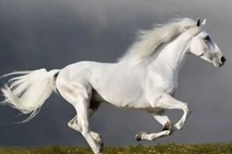 Sang mùa đổi vận, 3 con giáp lên đỉnh sự nghiệp, tiền bạc phủ phê 