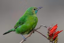 Sinh tháng Âm lịch này cả đời thiện lương, vượng vận quý nhân