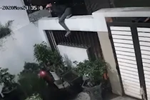 Video: Trộm trèo vào nhà lấy cắp cây cảnh