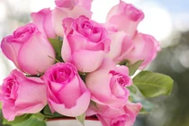 Phú quý trải đường: Người có giờ sinh này thiện lương hưởng phúc lớn 