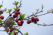 Tháng sinh Âm lịch của người tự tin, hoạt bát, làm việc hiệu quả