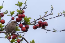 Tháng sinh Âm lịch của người tự tin, hoạt bát, làm việc hiệu quả