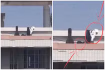 Đỏ mặt với màn diễn “cảnh nóng” của cặp đôi trên sân thượng 