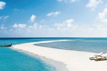 Vì sao ban đêm lại có sóng biển màu xanh?