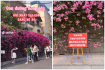 Điểm check-in đường hoa giấy Đặng Tất treo biển hạn chế chụp ảnh 