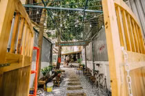 Cuối tuần ngồi đâu: Top quán cà phê view cây xanh