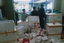 Kiểm tra, phát hiện 370kg dâu tây Trung Quốc ở Đà Lạt