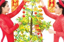 8 loài cây may mắn đặt trong nhà dịp Tết hút tài hút lộc