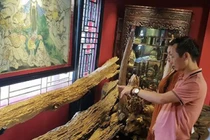 Lạc vào thế giới loại gỗ triệu USD của ông vua trầm đất Bắc