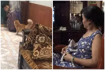 Nhà có thêm “boss”, con cái bất ngờ trở thành con ghẻ