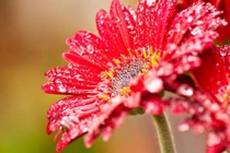 Giữa tháng 11, xui xẻo tiêu tan, 3 con giáp có tiền bạc