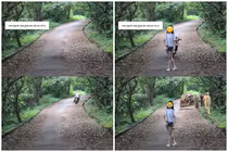 Nhờ dân mạng sửa ảnh, cô gái nhận cái kết hài hước