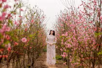 Muốn có ảnh chơi Tết đẹp, giới trẻ Hà thành nên đi đâu?