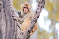 Từ ngày 5/11, 3 con giáp phúc lộc như biển, tiền tăng vù vù 