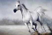 3 tuổi này tay trái vịn Quý nhân, tay phải nắm Thần Tài tháng 7 âm 