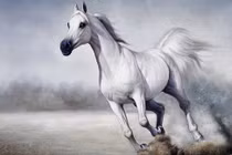 3 tuổi này tay trái vịn Quý nhân, tay phải nắm Thần Tài tháng 7 âm 