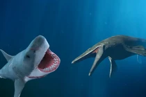 Kẻ thắng trận chiến giữa cá mập Megalodon và thằn lằn