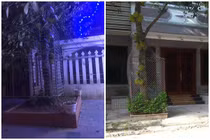 Tránh “mít tặc”, chủ nhà dùng “độc chiêu” bảo vệ nhìn mà khóc thét