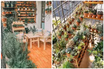 Khu vườn nhỏ ngoài ban công của bà mẹ 8x khiến netizen thích thú