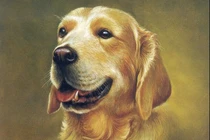 3 tuổi tiền vào như nước trong 6 tháng cuối năm 2022