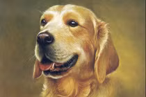 3 tuổi tiền vào như nước trong 6 tháng cuối năm 2022