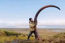 Nghề lạ: Chỉ làm 65 ngày/năm... thu nhập gần 1 tỷ đồng