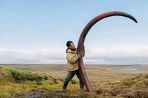 Nghề lạ: Chỉ làm 65 ngày/năm... thu nhập gần 1 tỷ đồng