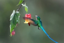  Quý cô sinh 3 ngày Âm lịch này điệu đà, may mắn