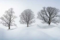 Vẻ đẹp lộng lẫy thiên nhiên ở nơi xa xôi nhất trên Trái đất 