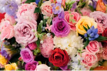 15 ngày tới: 3 con giáp tài vận lên cao, của cải ào vào túi 