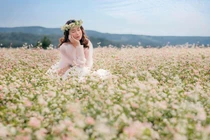 Ngắm hoa tam giác mạch ở nơi nào… đẹp nhất Việt Nam